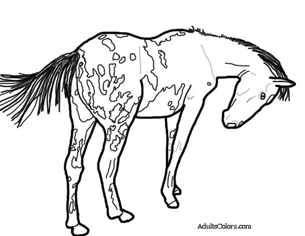 Download Horse Coloring Pages: Pick and Print Your Pony