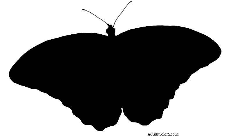 butterfly outline or silhouette basic butterfly shapes