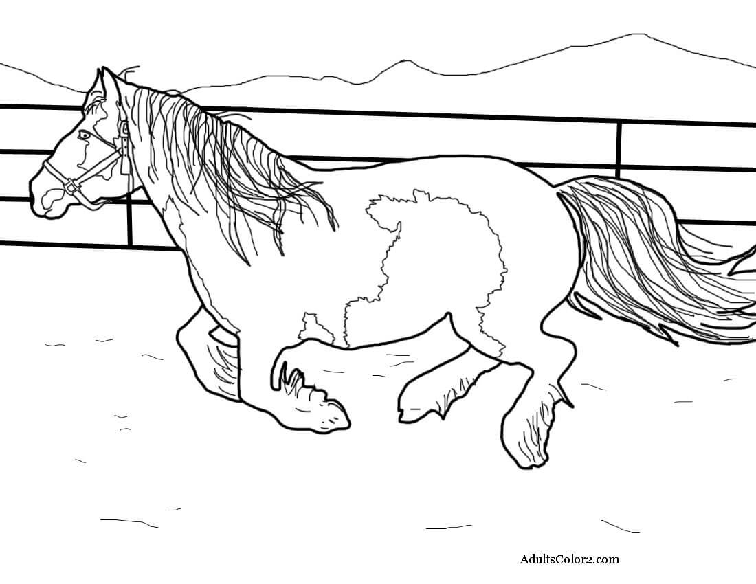 Gypsy Vanner Horse Coloring Pages Coloring Pages