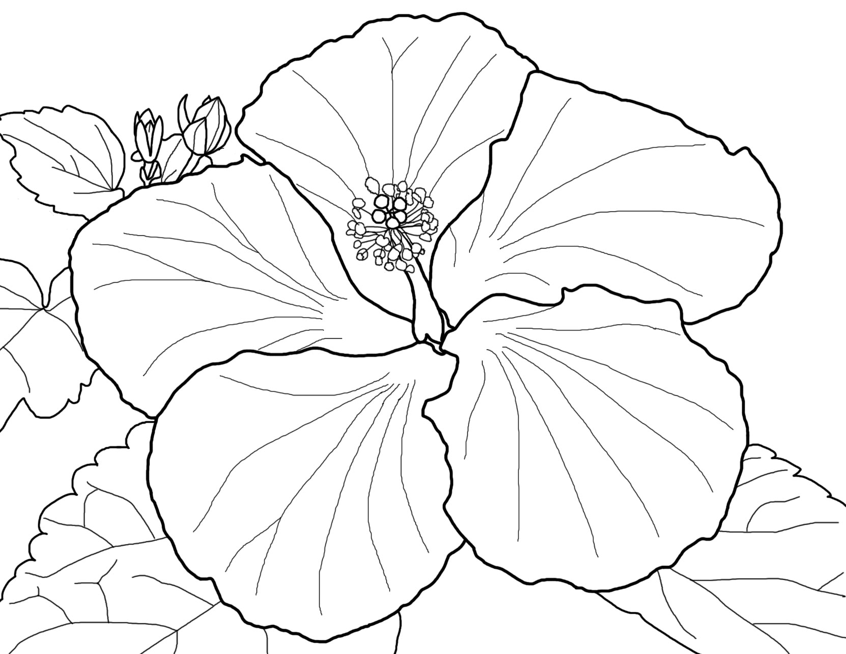 Download Spring Flowers Coloring Page: Beautiful Blossoms