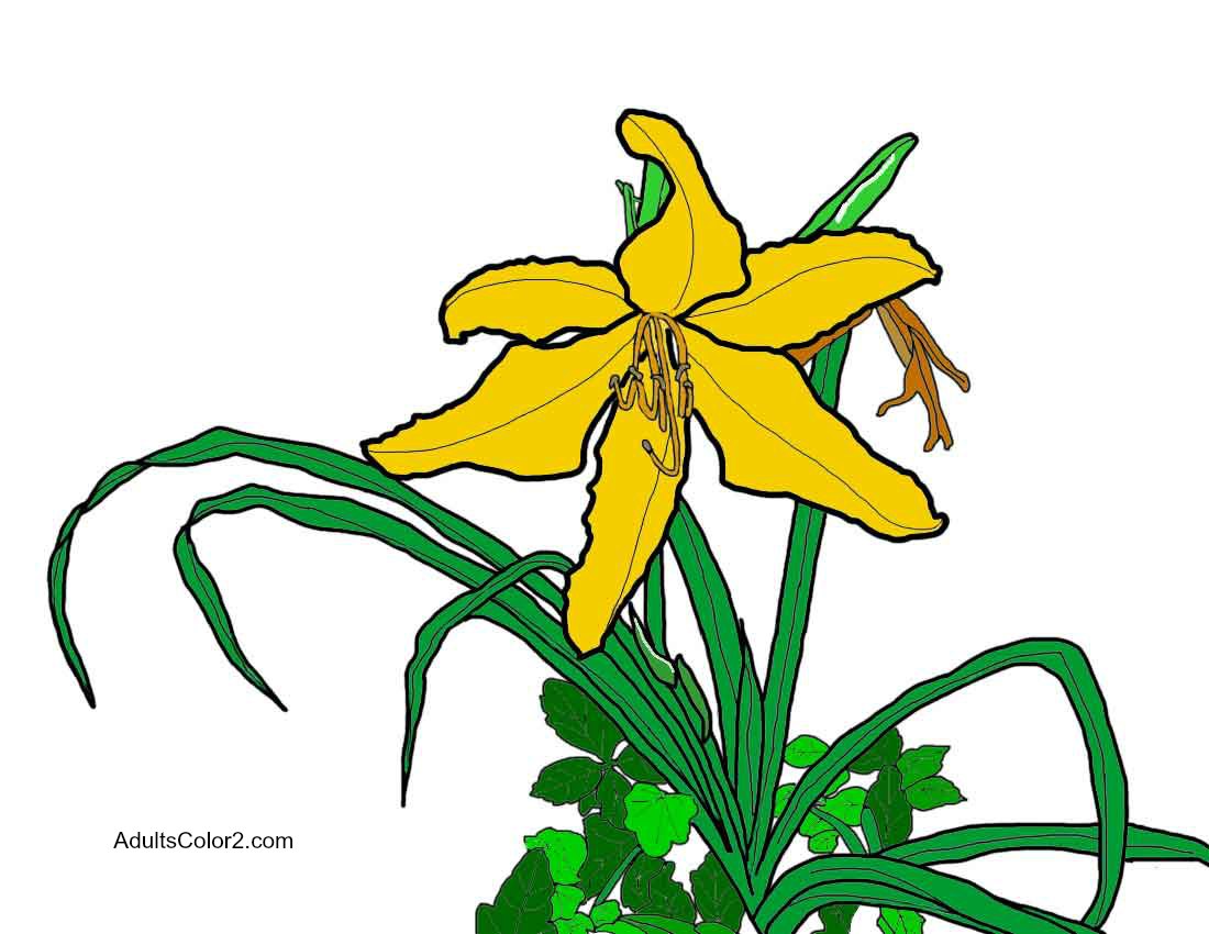 Spring Flowers Coloring Page: Beautiful Blossoms