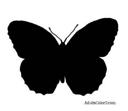 butterfly outline or silhouette basic butterfly shapes