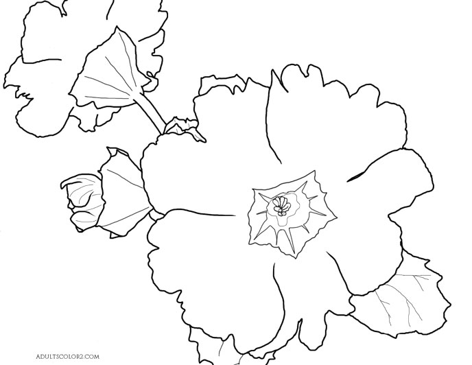 Download Spring Flowers Coloring Page: Beautiful Blossoms