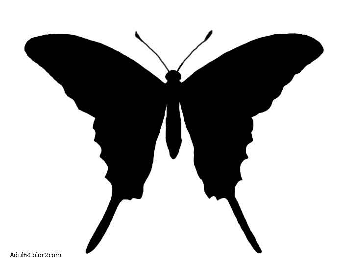 butterfly outline or silhouette basic butterfly shapes